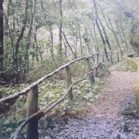 Brenas Garden C9 Apartman Breña Baja Kültér fotó
