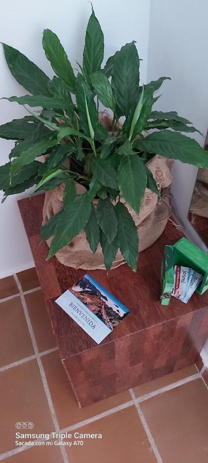 Brenas Garden C9 Apartman Breña Baja Kültér fotó